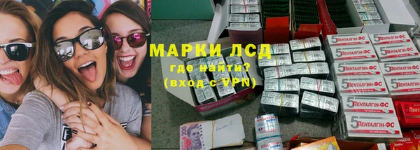 сатива Березники