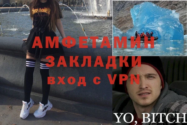 сатива Березники
